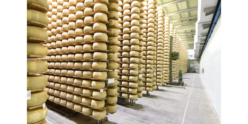 Cheese ripening chamber